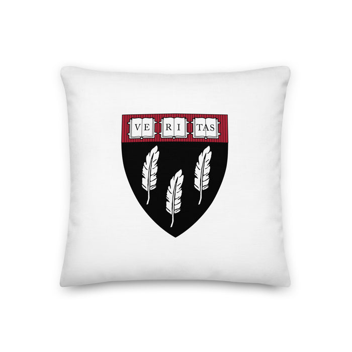 HSA Pillow