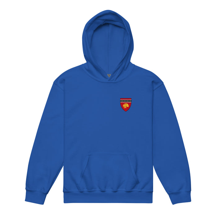 Currier House Youth Heavy Blend Hoodie