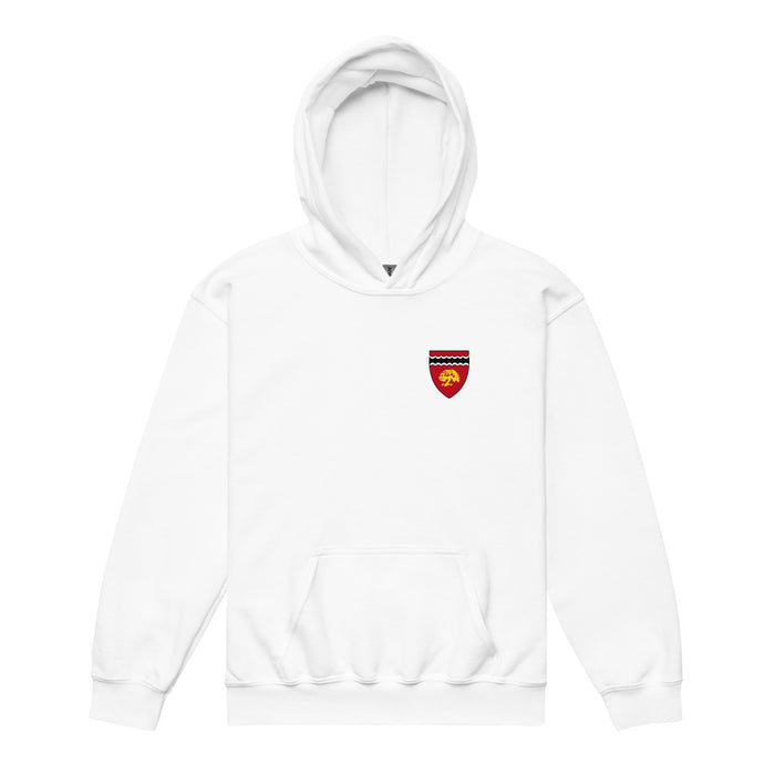 Currier House Youth Heavy Blend Hoodie
