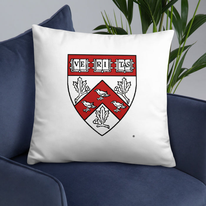 Divinity School Throw Pillow
