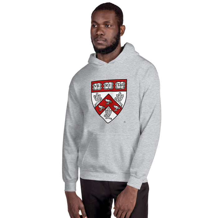 Divinity School Hoodie Unisex