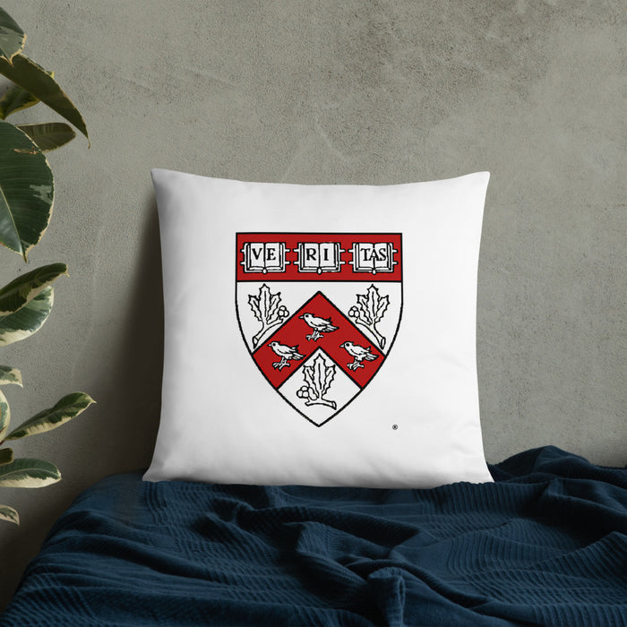 Divinity School Throw Pillow