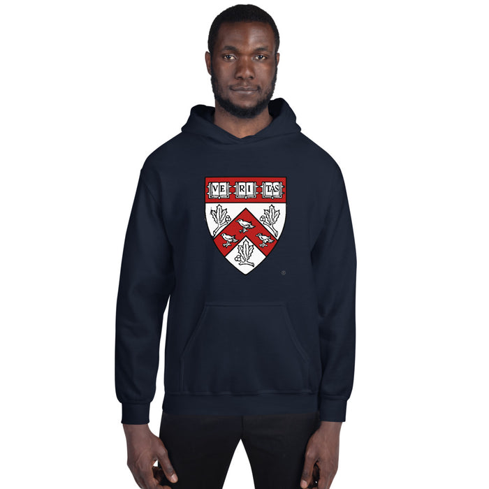 Divinity School Hoodie Unisex