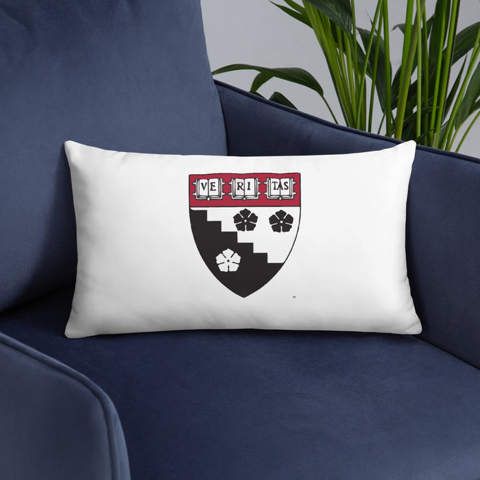 HGSE Throw Pillow