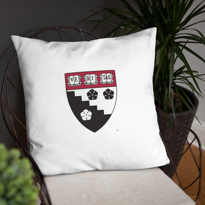 HGSE Throw Pillow
