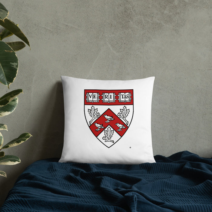 Divinity School Throw Pillow