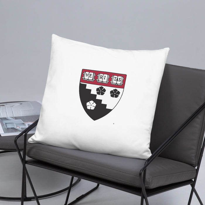 HGSE Throw Pillow
