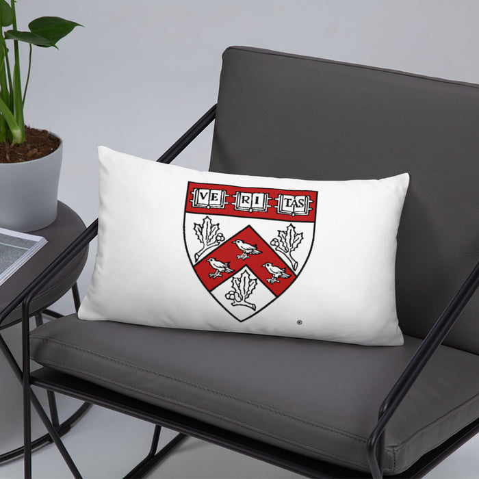 Divinity School Throw Pillow