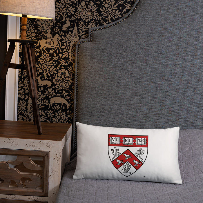 Divinity School Throw Pillow