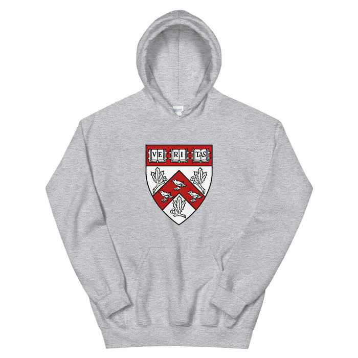 Divinity School Hoodie