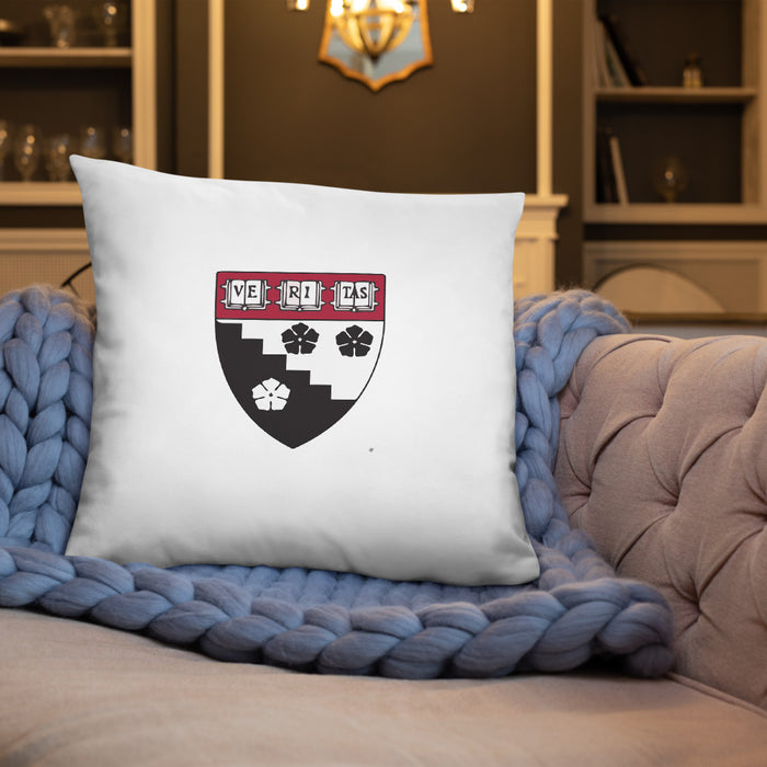 HGSE Throw Pillow