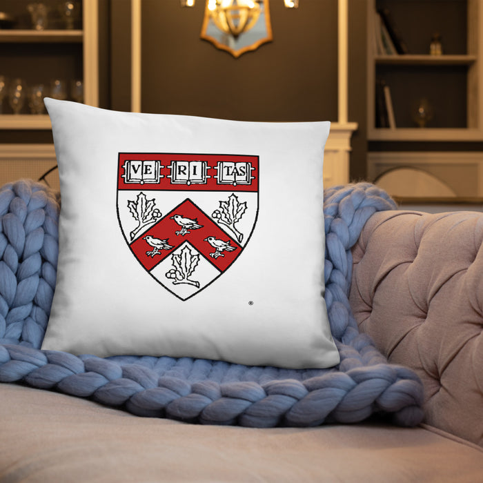 Divinity School Throw Pillow