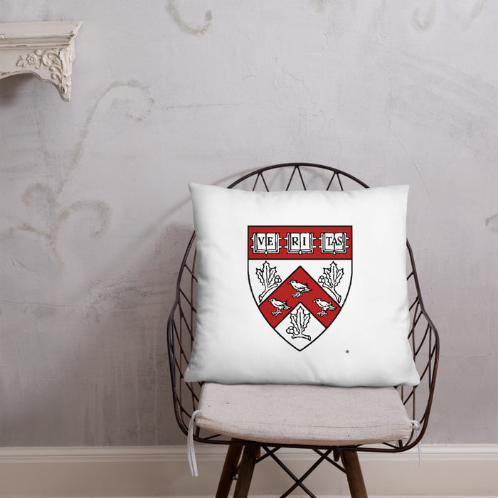 Divinity School Throw Pillow