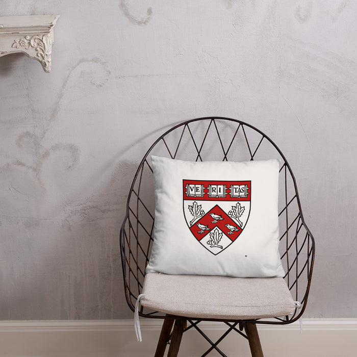 Divinity School Throw Pillow