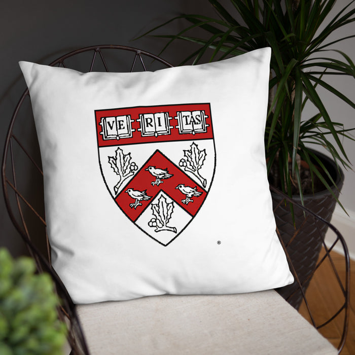Divinity School Throw Pillow