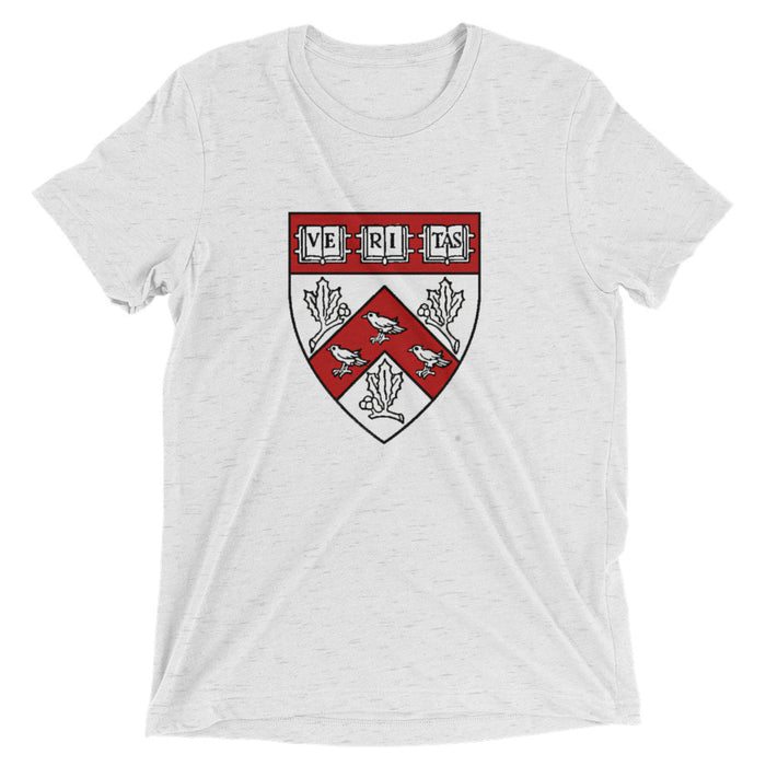 Divinity School Triblend Unisex