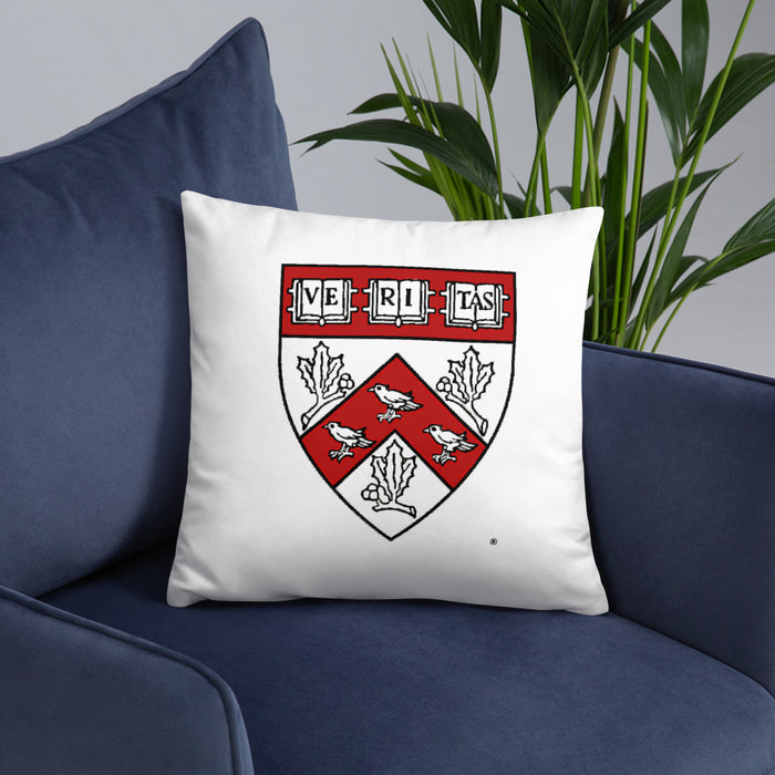 Divinity School Throw Pillow