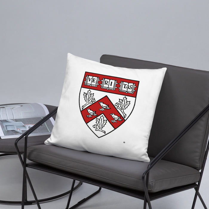 Divinity School Throw Pillow