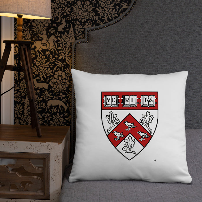Divinity School Throw Pillow