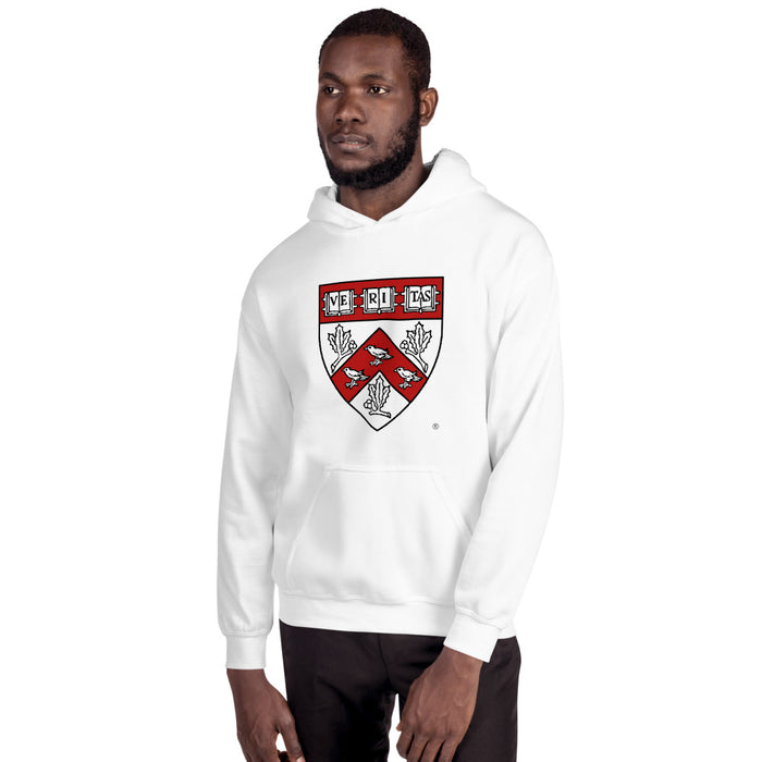 Divinity School Hoodie Unisex