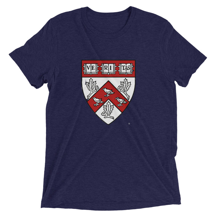 Divinity School Triblend Unisex