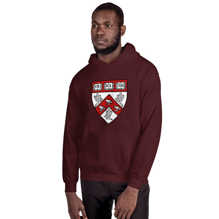 Divinity School Hoodie Unisex