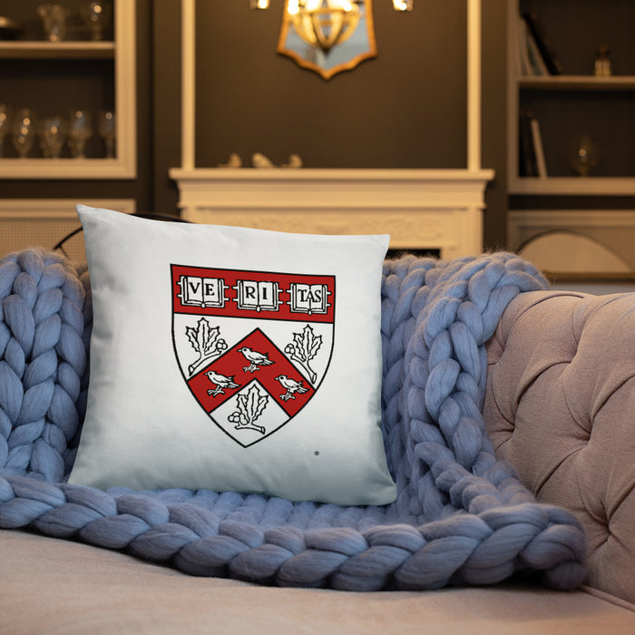 Divinity School Throw Pillow