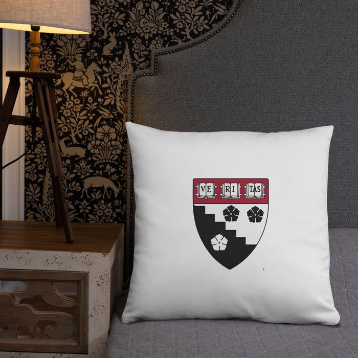 HGSE Throw Pillow