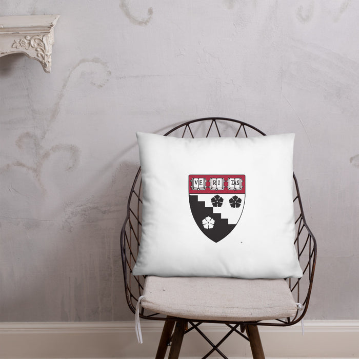 HGSE Throw Pillow