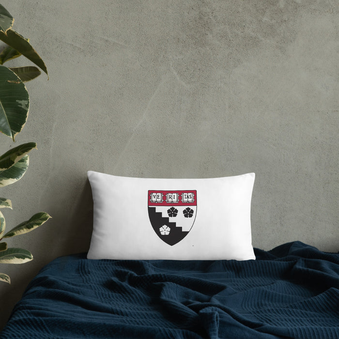 HGSE Throw Pillow