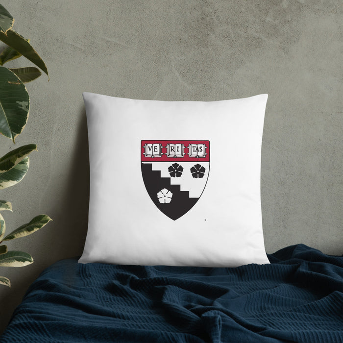 HGSE Throw Pillow