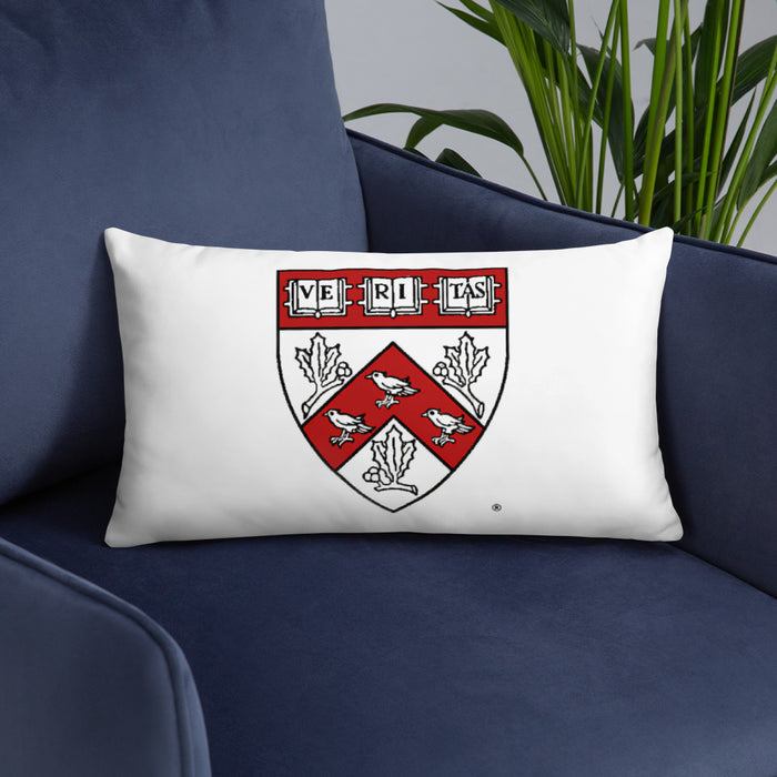 Divinity School Throw Pillow