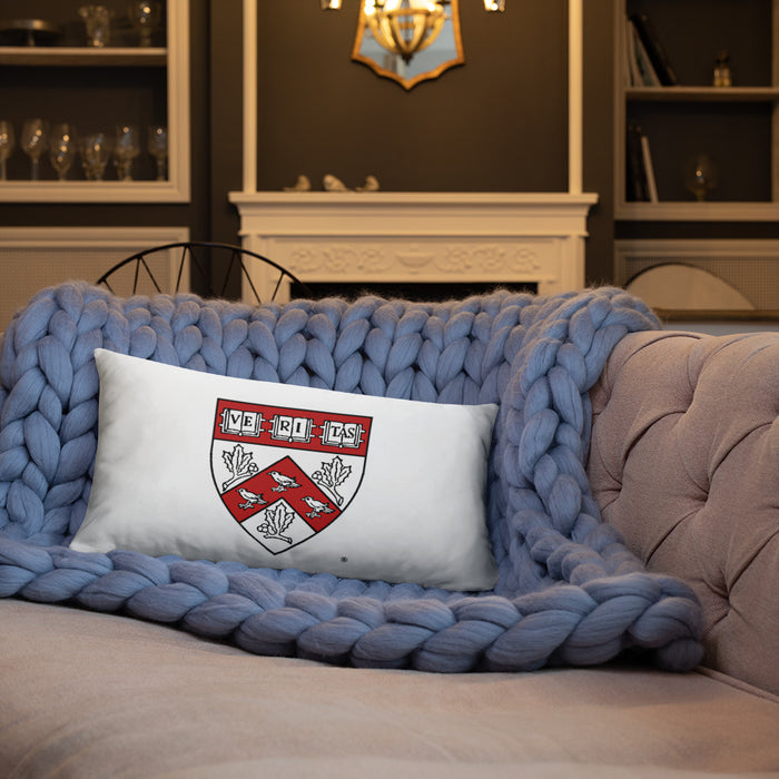 Divinity School Throw Pillow