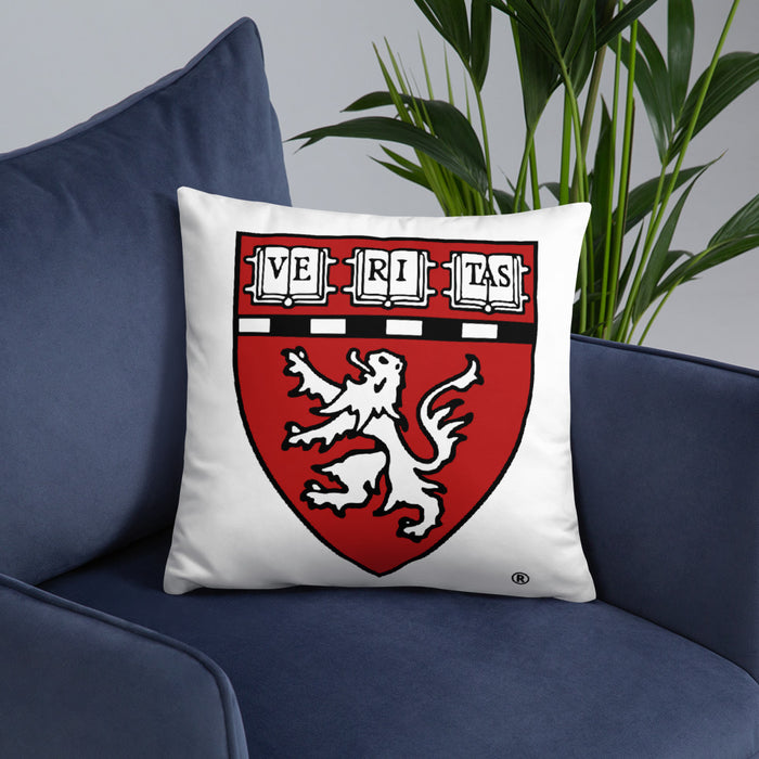 HMS Pillow