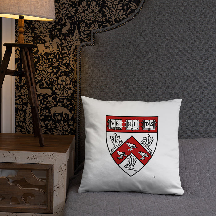 Divinity School Throw Pillow