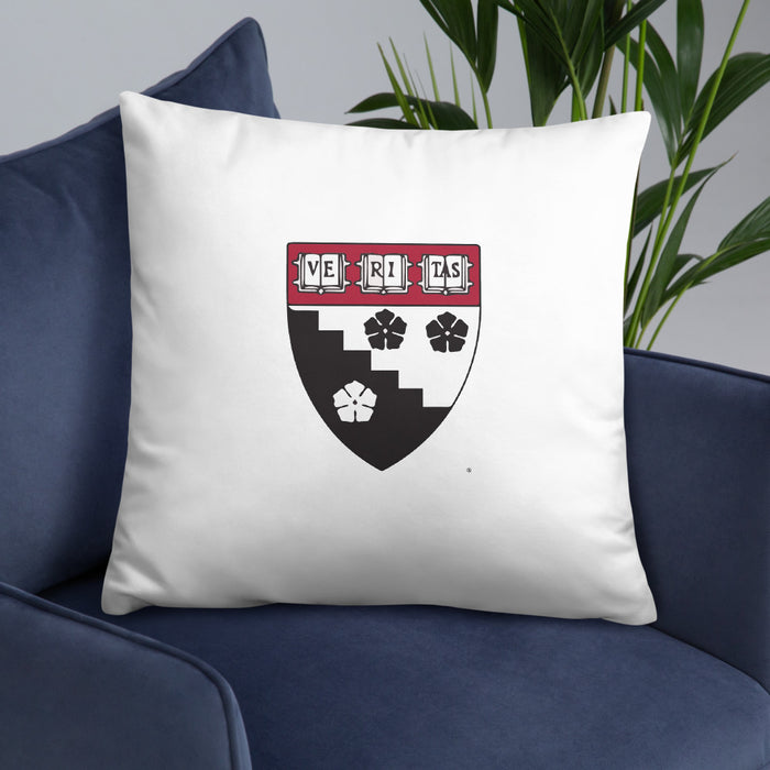 HGSE Throw Pillow