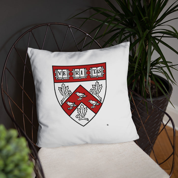 Divinity School Throw Pillow
