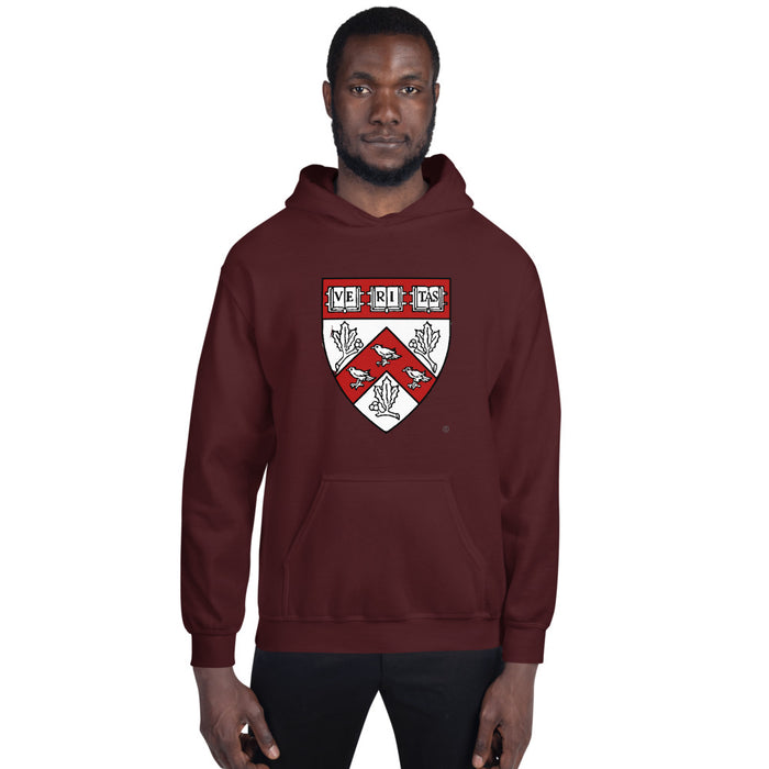 Divinity School Hoodie Unisex