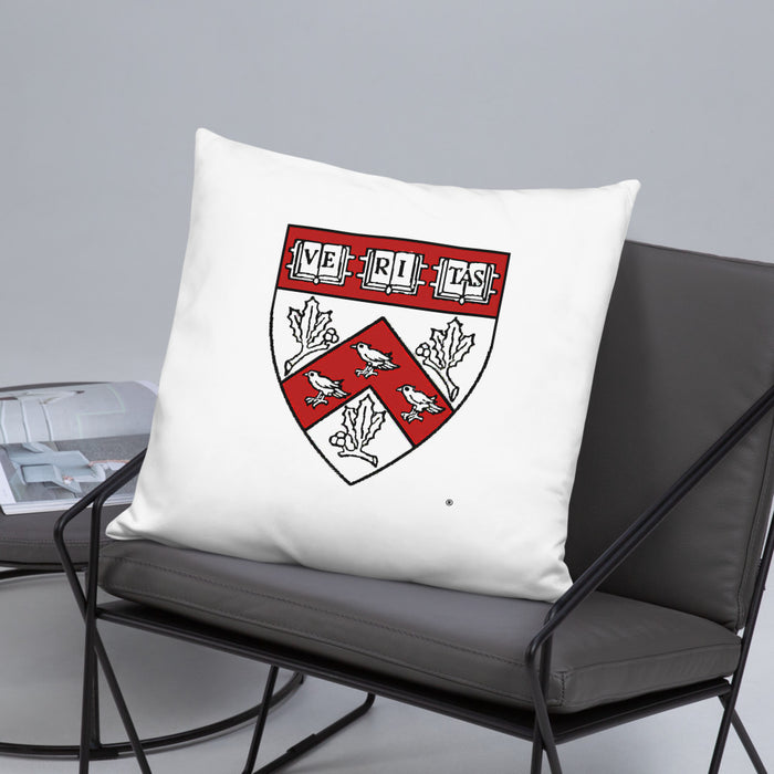 Divinity School Throw Pillow
