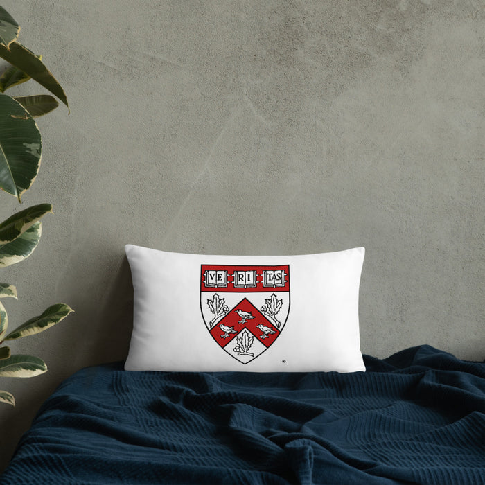 Divinity School Throw Pillow