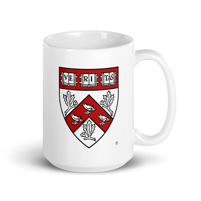 Divinity School Mug