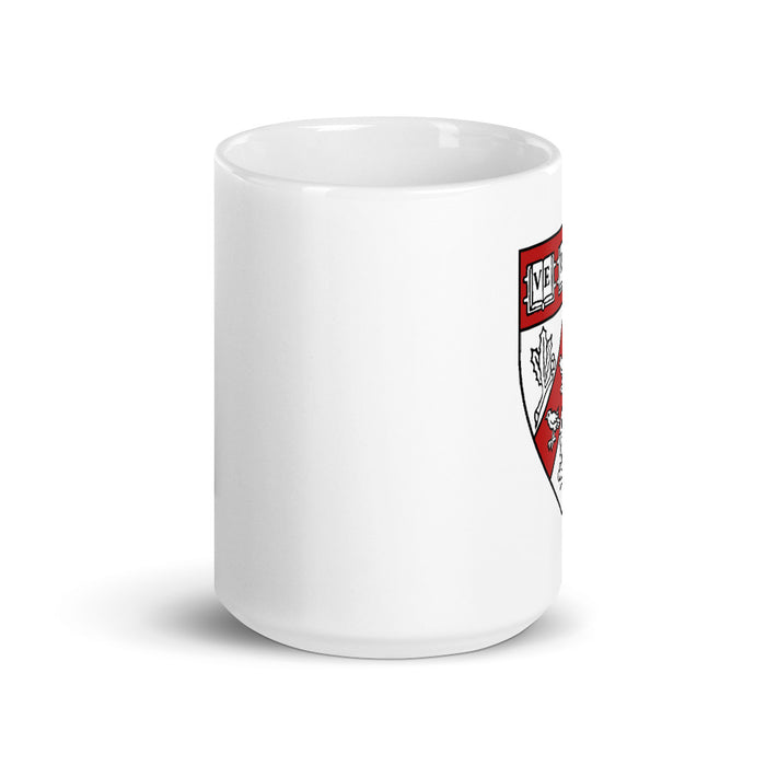 Divinity School Mug
